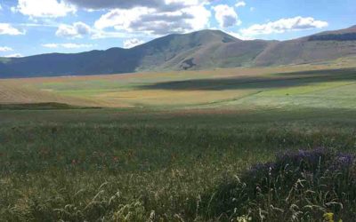 CASTELLUCCIO DI NORCIA E LA CRESTA FINO A FORCA DI PRESTA