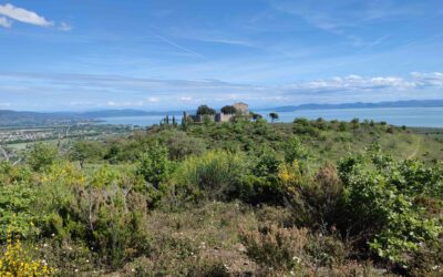 LE COLLINE SOPRA TUORO E IL CASTELLO DI MONTEGUALANDRO