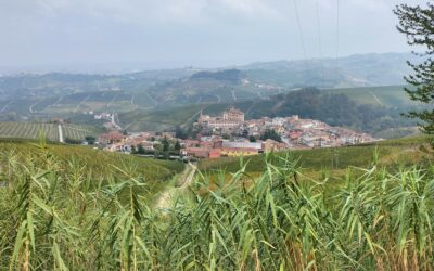 LANGHE E ROERO