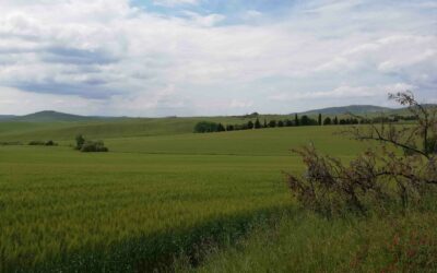 VAL D’ORCIA